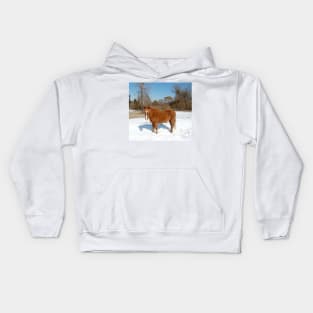 Wild horse, Assateague Island, wildlife, gifts Kids Hoodie